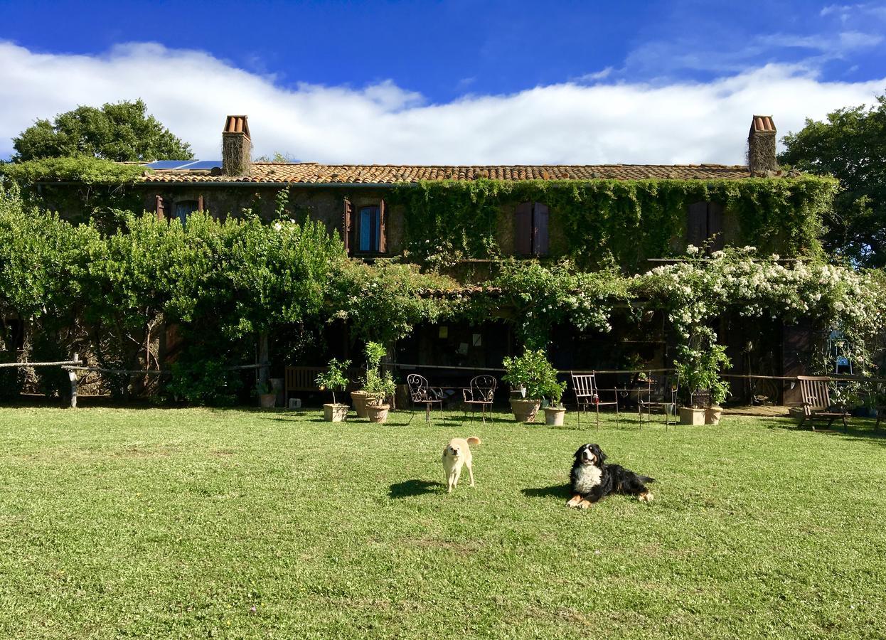 Bed And Breakfast Dopo Il Settimo Cielo Lubriano Екстериор снимка